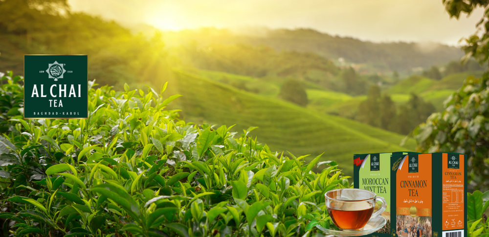 ABW Foods Australia